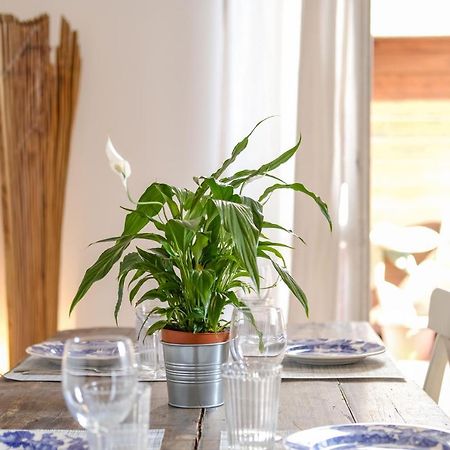 Spacious Apartment With Big Terrace At Colosseum 로마 외부 사진